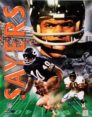 Gayle Sayers Mitchell & Ness 40 Chicago Bears Official 