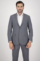 Traje Roberts Color gris Regular fit