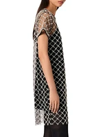 Short Embroidered Tulle Dress
