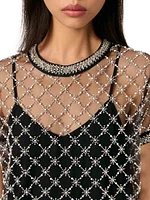 Short Embroidered Tulle Dress