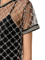 Short Embroidered Tulle Dress