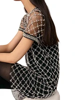 Short Embroidered Tulle Dress