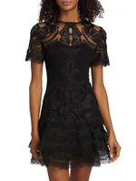 Lace Appliqué A-Line Minidress