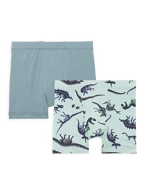 2-Piece Little Boy's & Fossils Boxers Set