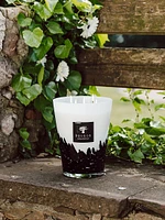 Feathers Max24 Candle