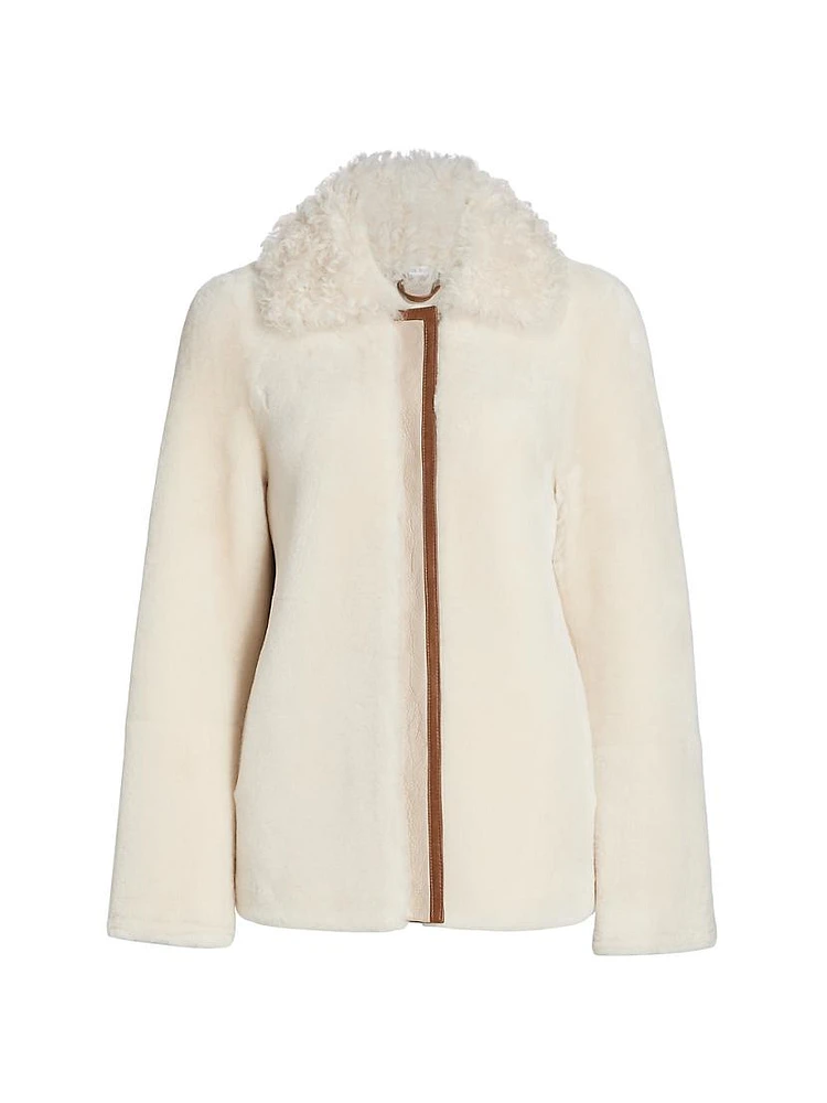 Sherpa Wing Collar Jacket