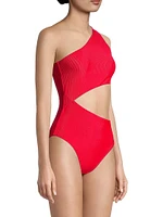 Celine Cutout Swimsuit