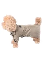 Logo Dog Trench Coat