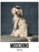 Logo Dog Trench Coat