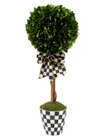 Courtly Boxwood Topiary