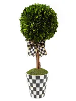 Courtly Boxwood Topiary