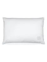 Silk Blend Pillow Insert