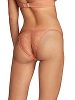 Lorna Lace Briefs