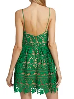 Floral-Embroidered Minidress