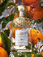 Aqua Allegoria Mandarine Basilic Eau de Toilette