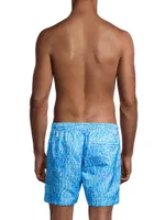 Clay Swim Shorts