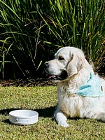 Berry & Thread Pet Bowl/7"