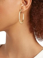 Pure 14K Yellow Gold Marquise Hoop Earrings