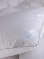 Vienna Soft Down Pillow