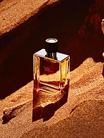 Terre D'hermès Parfum