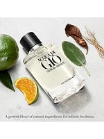 Acqua di Gio Eau de Parfum