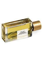 Velvet Splendour Perfume