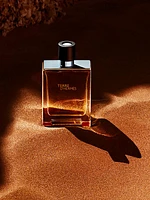 Terre d'Hermès Eau de Toilette