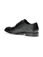 Harrison Leather Oxfords