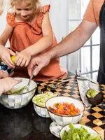 Sterling Check Enamel Everyday Bowl