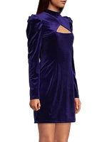 Velvet Mockneck Mini Dress