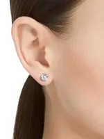 Constella Rhodium-Plated & Crystal Stud Earrings