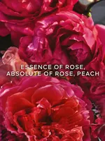 Aqua Allegoria Forte Rosa Rossa Eau De Parfum