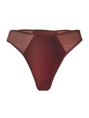 Stretch Silk Mesh Thong