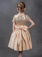 Baby Girl's, Little Girl's & Sequined Satin Dress