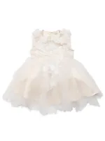 Baby Girl's & Little Embellished Tulle Lace Dress