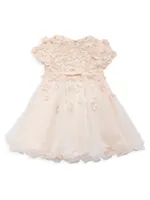 Baby Girl's & Little Floral Appliqué Organza Dress