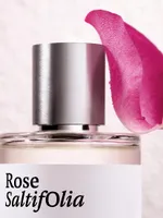 Rose Saltifolia Eau De Parfum