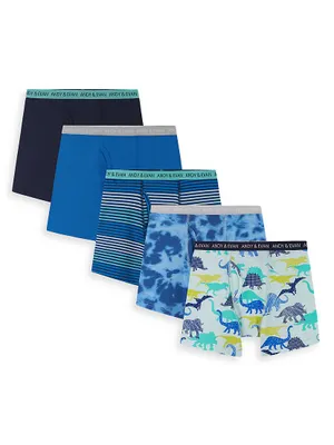 Little Boy's & 5-Piece Modal Boxer Briefs Set