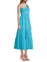 Patio Tieres Stretch Crepe & Taffeta Midi-Dress