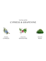 Cypress & Grapevine Cologne Intense