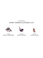 Dark Amber & Ginger Lily Cologne Intense