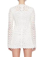 McCall Crocheted Long-Sleeve Minidress