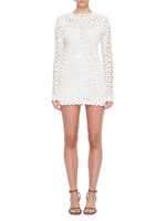 McCall Crocheted Long-Sleeve Minidress