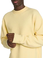 Wool Crewneck Sweater