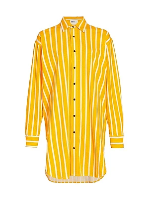 Striped Shirtdress