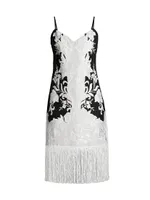 Nori Embroidered Fringe Dress