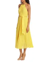 Sunray Pleated Dress