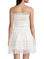 Vallarta Lace Minidress