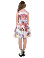 Little Girl's Becky Floral Organza Dress