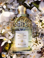 Aqua Allegoria Harvest Nerolia Vetiver Eau de Toilette